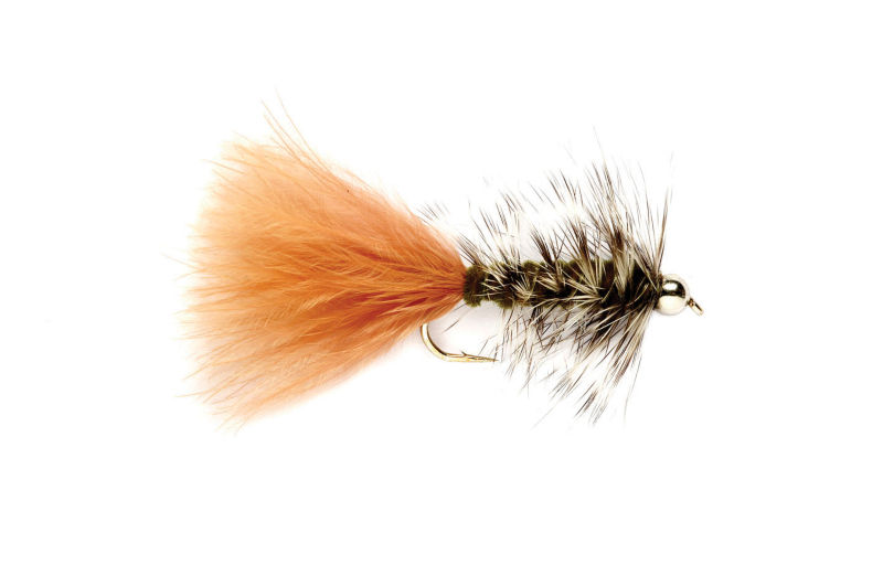 White River  VT Fly Fishing Reports & Conditions