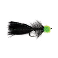 Latest Fly Fishing News and Reports - Crandall's Provider - Royal