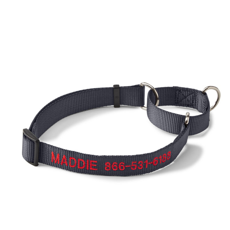 Personalized Martingale No-Pull Dog Collar Asphalt 