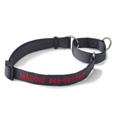 Personalized Martingale No Pull Dog Collar Asphalt 
