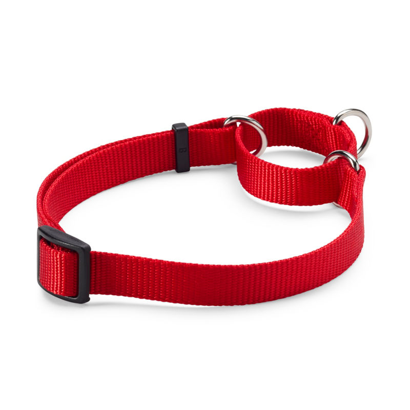Personalized Martingale No-Pull Dog Collar Red 