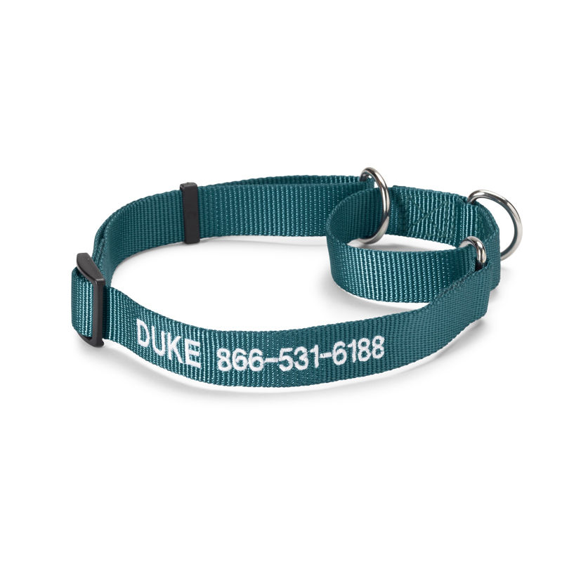 Personalized Martingale No-Pull Dog Collar Harbor Blue 