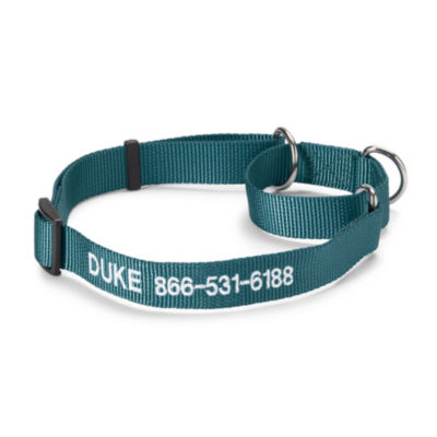 Personalized Martingale No Pull Dog Collar Harbor Blue 