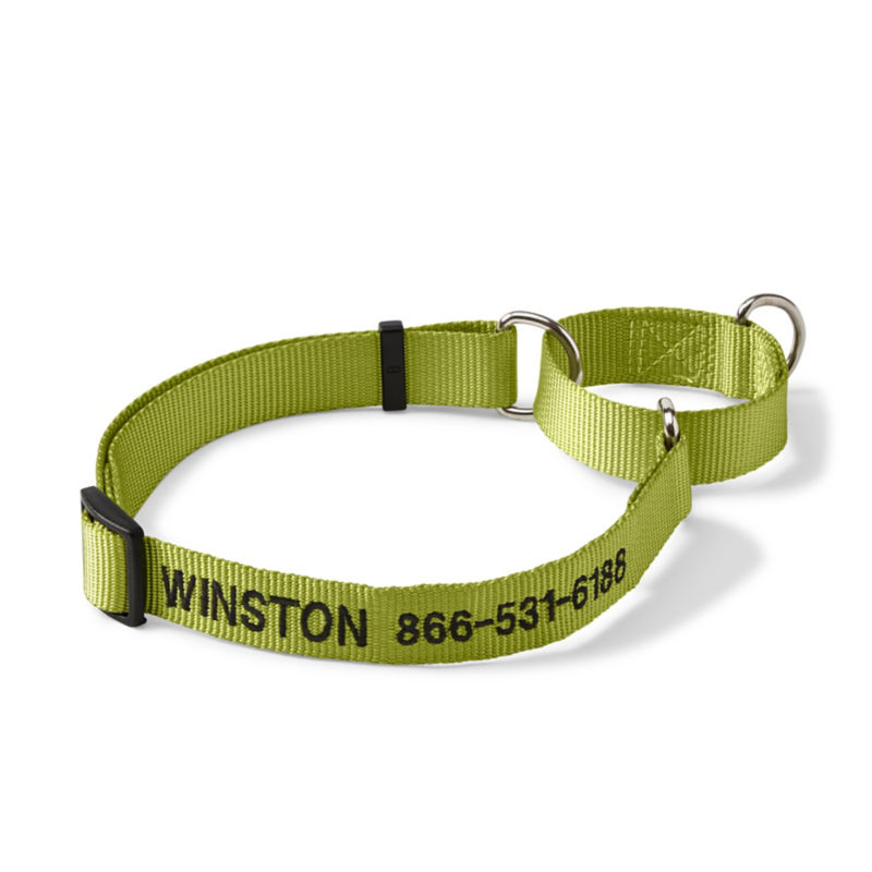 Personalized Martingale No-Pull Dog Collar Citron 