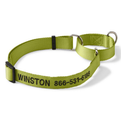Personalized Martingale No Pull Dog Collar Citron 