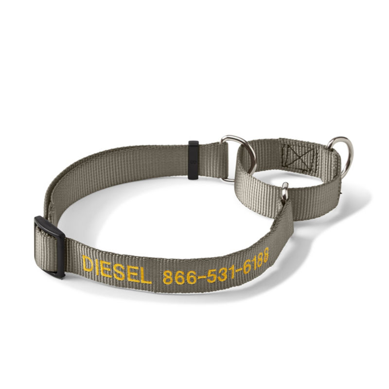 Personalized Martingale No-Pull Dog Collar Dusty Olive 