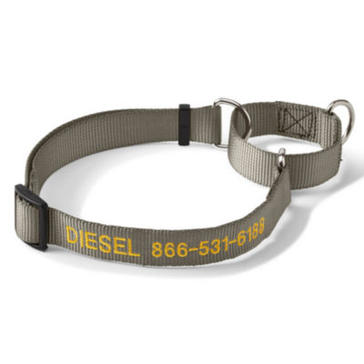 Personalized Martingale No Pull Dog Collar Dusty Olive 