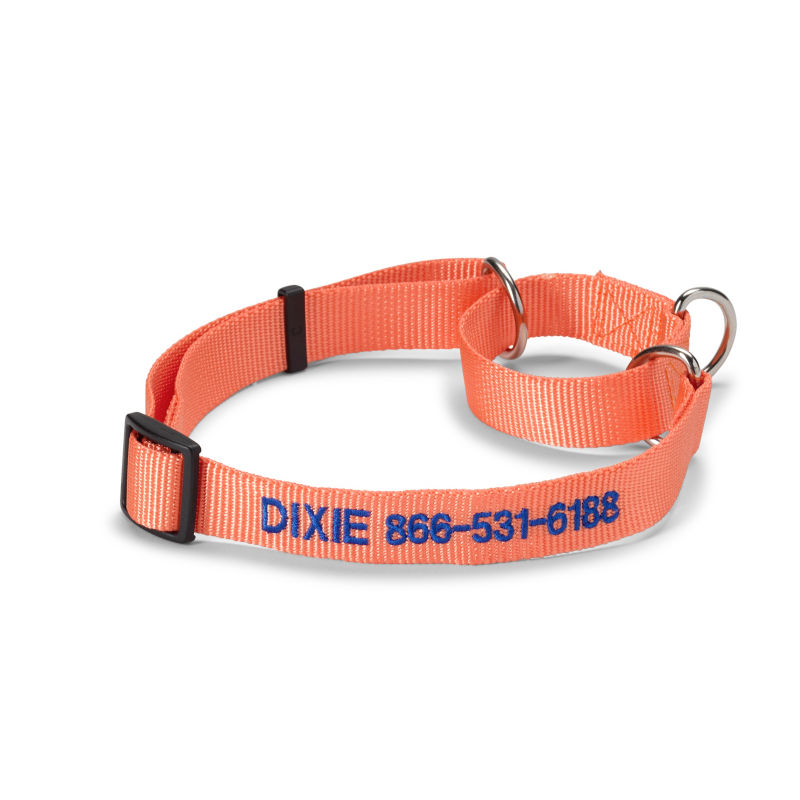 Personalized Martingale No-Pull Dog Collar Salmon 
