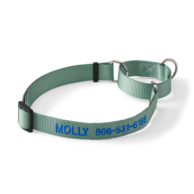 Personalized Martingale No-Pull Dog Collar Wasabi 