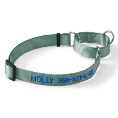 Personalized Martingale No Pull Dog Collar Wasabi 