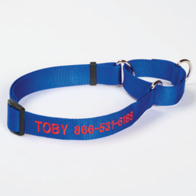 Personalized Martingale No Pull Dog Collar Blue 