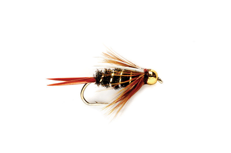 Tunghead Double Bead Stonefly Nymph Brown