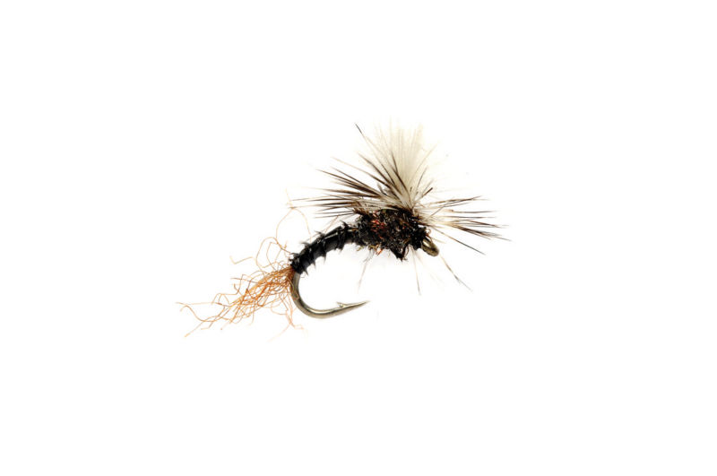 Mossy Creek  VA Fly Fishing Reports & Conditions