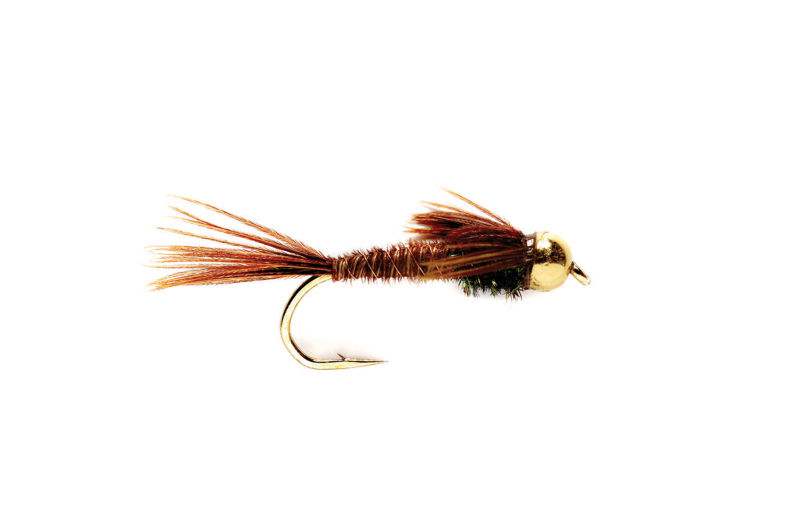 Williamson River Fly Fishing Report  The Caddis Fly: Oregon Fly Fishing  Blog