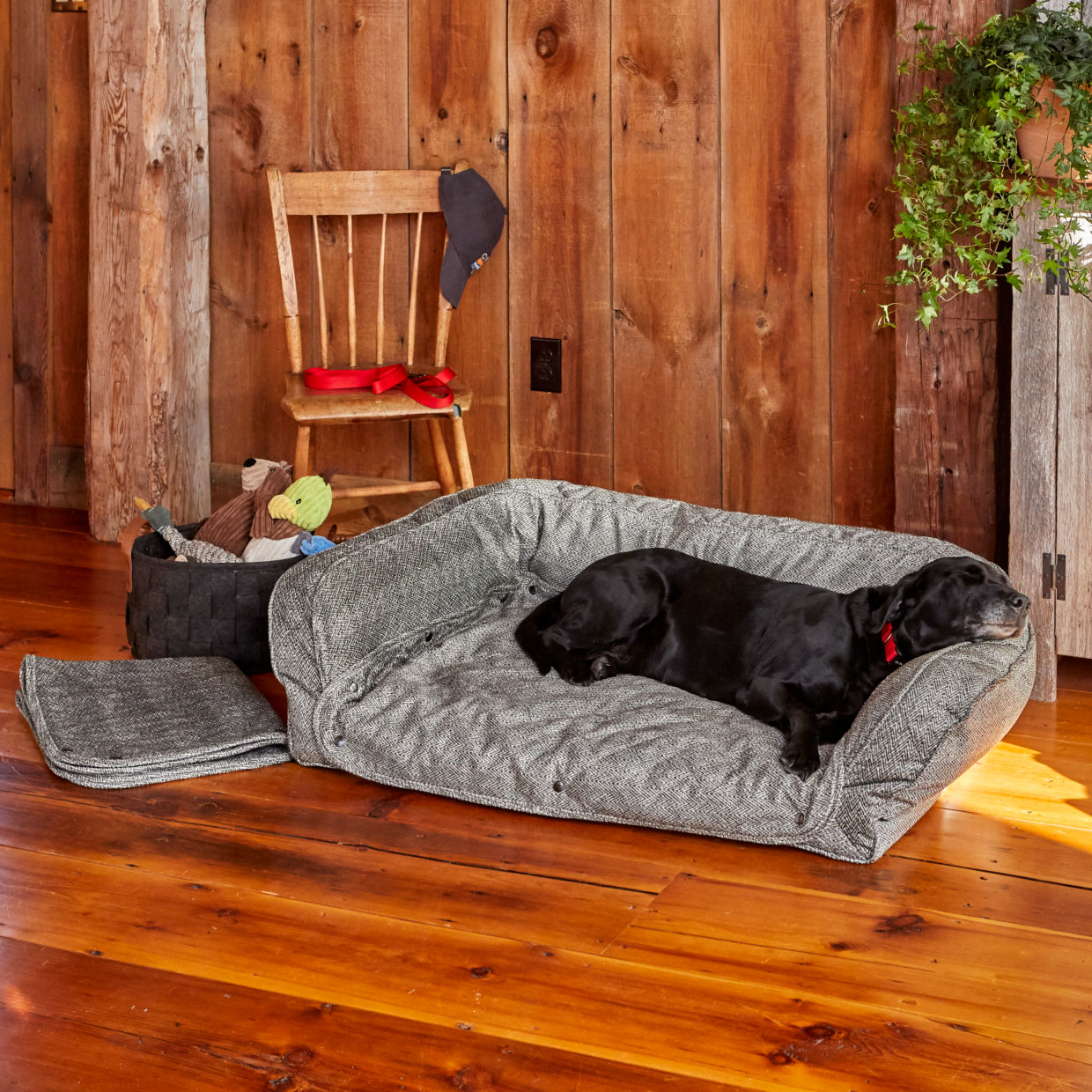 Orvis Memory Foam Bolster Dog Bed with Snap-Off Pads
