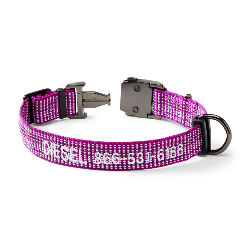 Tough Trail Dog Collar Purple 