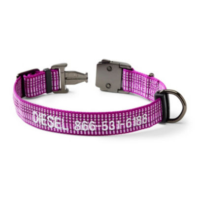 Tough Trail Dog Collar Purple 