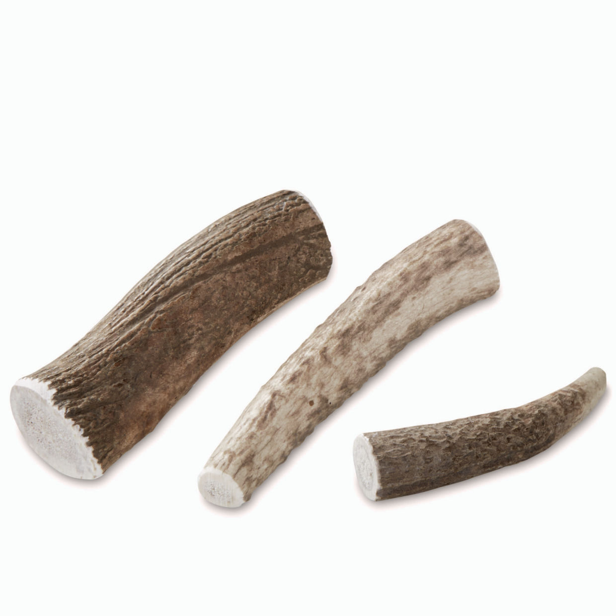 Elk Antler Dog Chews - 100% Natural Size Large (For Dogs 30-50 Lbs) Orvis