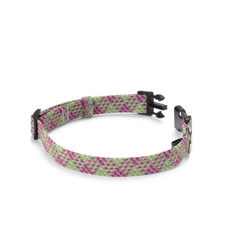 Braided Dog Collar and Climbing Rope Leash 