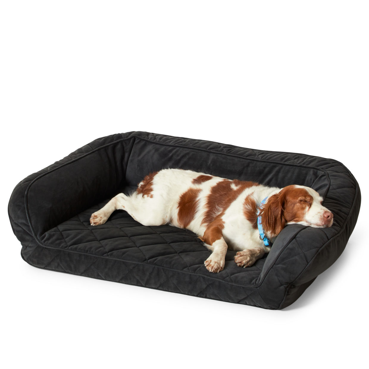 Orvis AirFoam Bolster Dog Bed