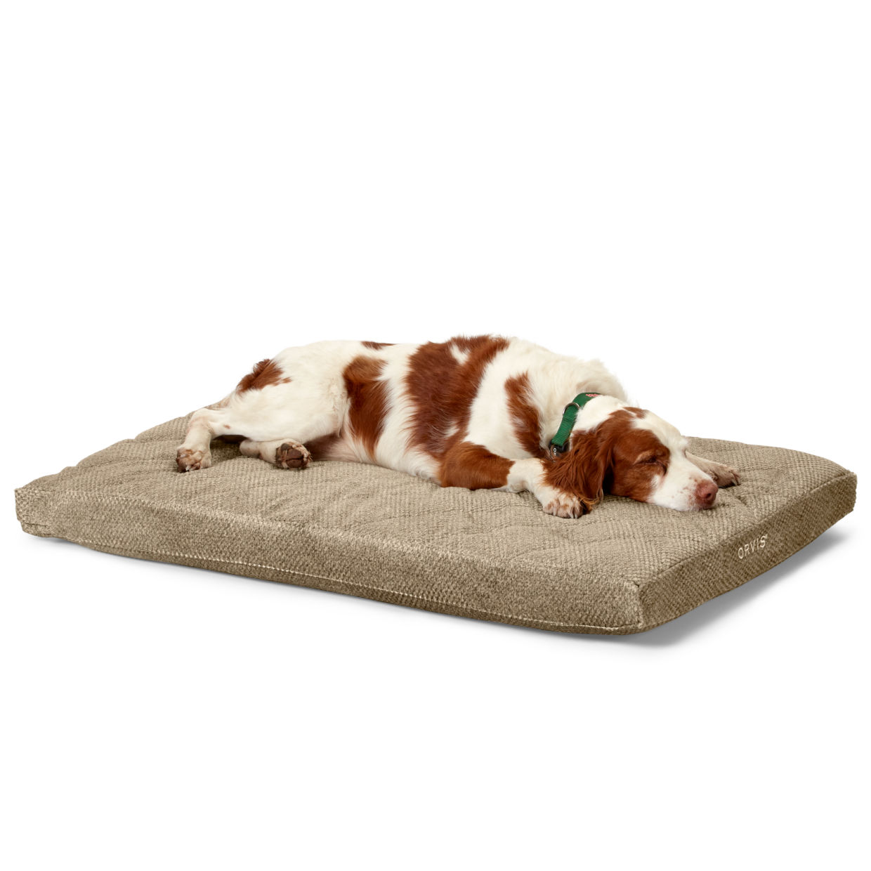 Orvis AirFoam Platform Dog Bed