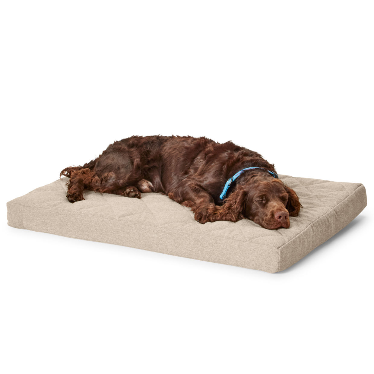 Orvis Memory Foam Platform Dog Bed