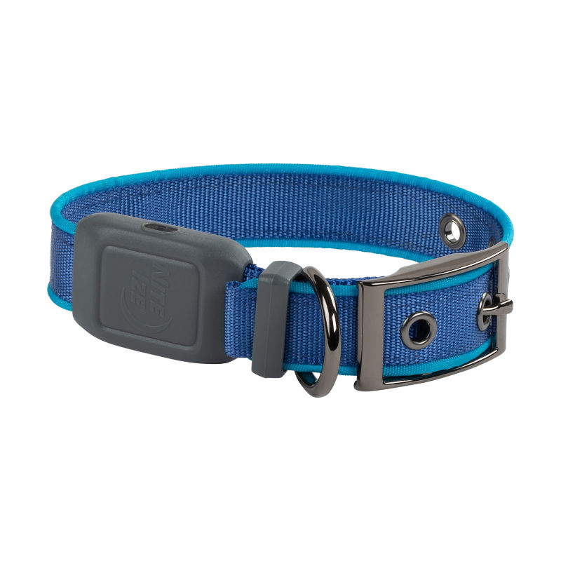 NiteDog Rechargeable LED Dog Collar Blue 