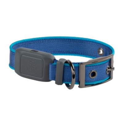 NiteDog Rechargeable LED Dog Collar Blue 