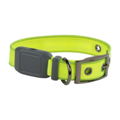 NiteDog Rechargeable LED Dog Collar Green 