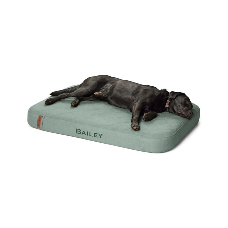 Orvis RecoveryZone Lounger Dog Bed Wasabi 
