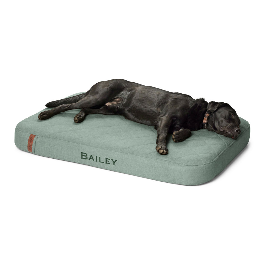 Dogs Orvis RecoveryZone™ Lounger Dog Bed