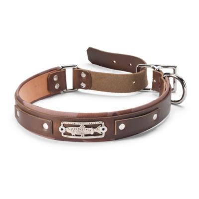 Sight Line Leather Dog Collar Brown 