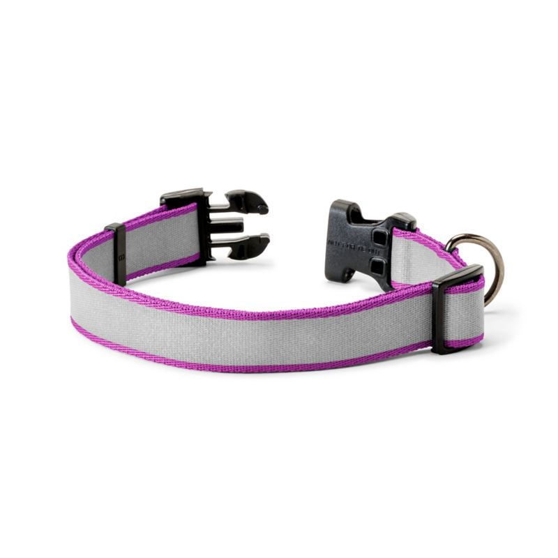 Personalized Reflective Dog Collar Orchid 