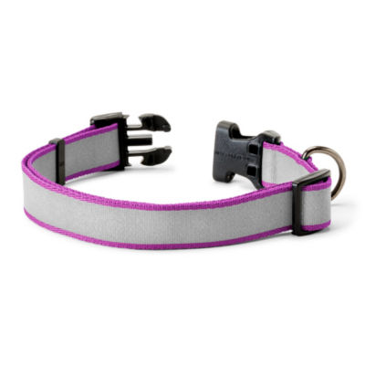 Personalized Reflective Dog Collar Orchid 