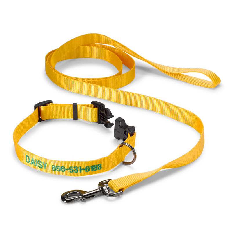 Personalized Adjustable Dog Collar with Leash Goldenrod 