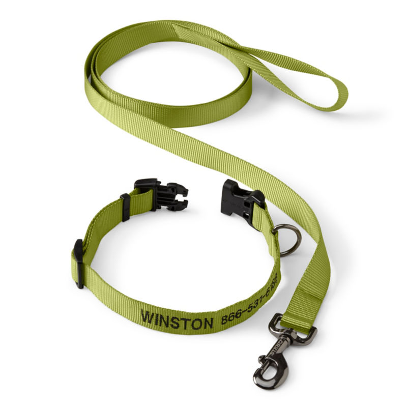 Personalized Adjustable Dog Collar with Leash Citron 
