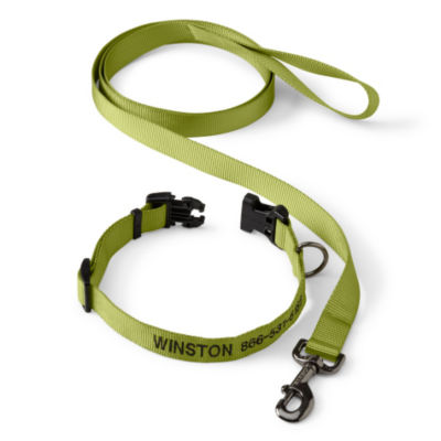 Personalized Adjustable Dog Collar with Leash Citron 