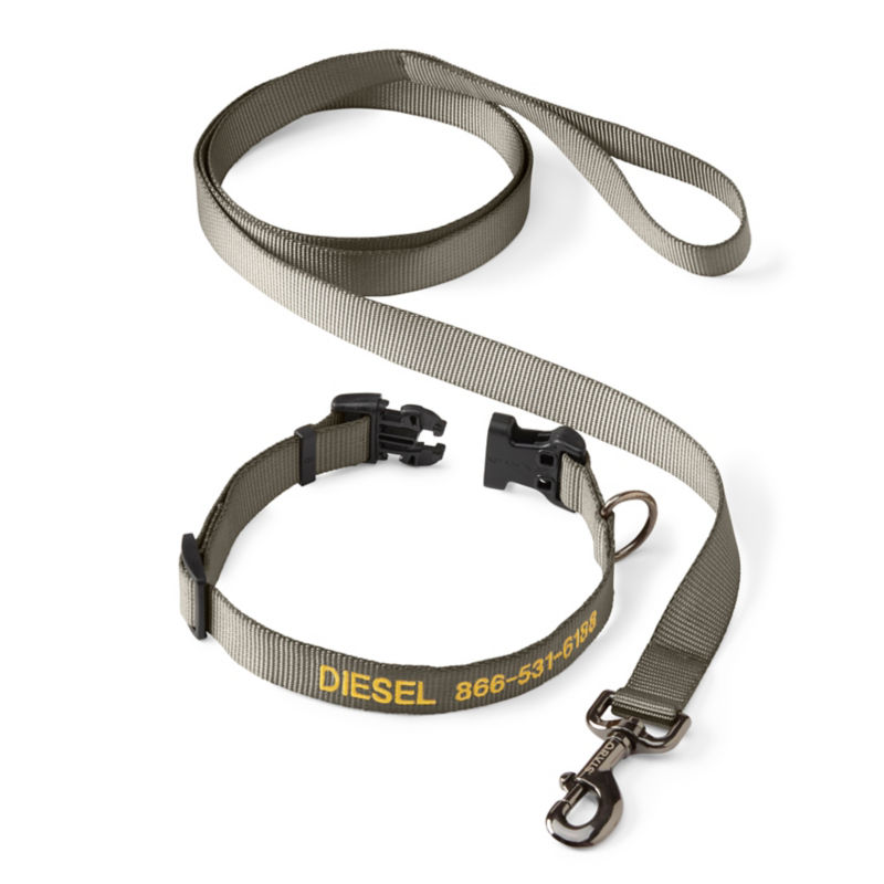 Personalized Adjustable Dog Collar with Leash Dusty Olive 