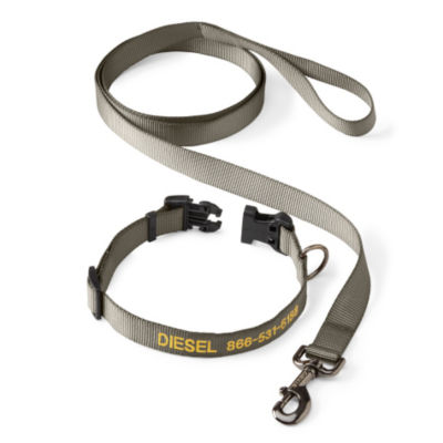 Personalized Adjustable Dog Collar with Leash Dusty Olive 