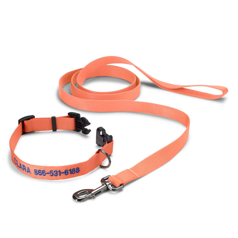Personalized Adjustable Dog Collar with Leash Salmon 