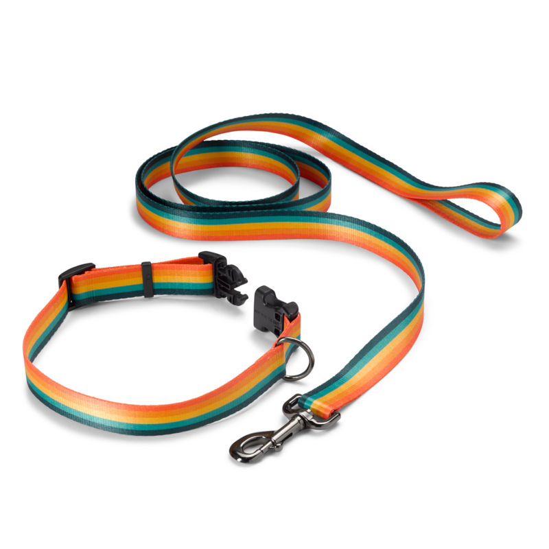 Personalized Adjustable Dog Collar with Leash Stripe 