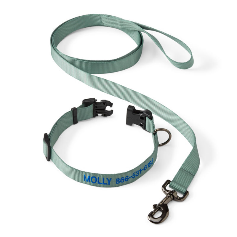 Personalized Adjustable Dog Collar with Leash Wasabi 
