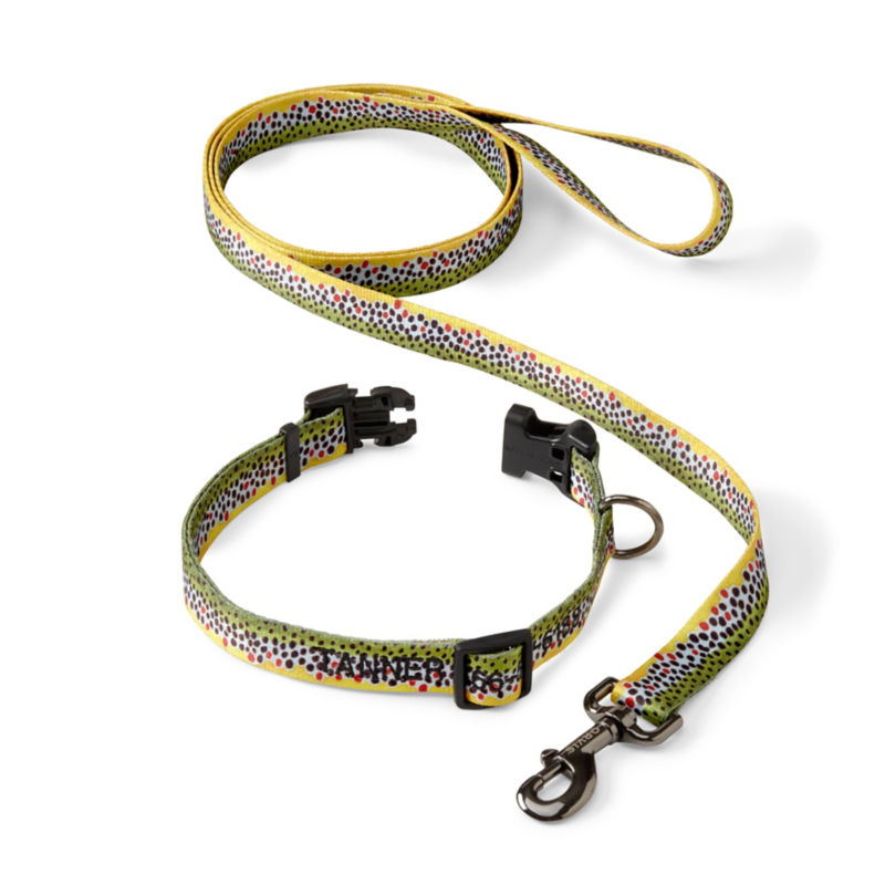 Personalized Adjustable Dog Collar with Leash Brown Trout 