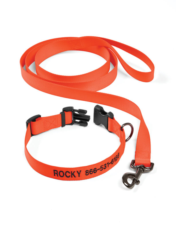 Personalized Adjustable Dog Collar with Leash Blaze Orange 