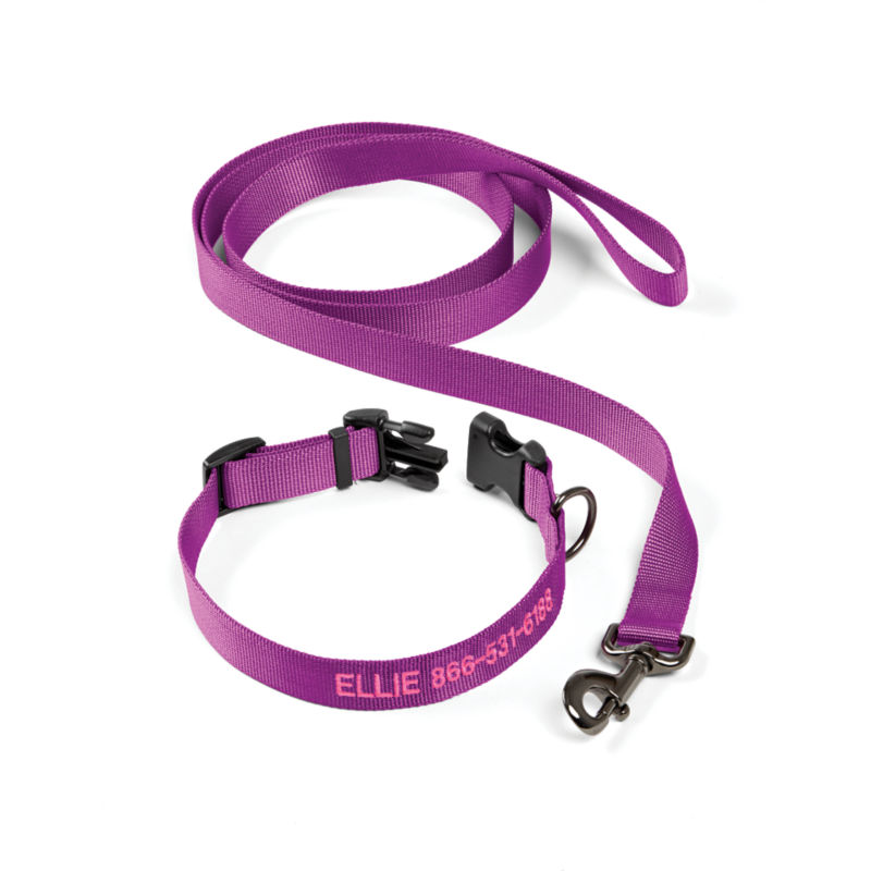 Personalized Adjustable Dog Collar with Leash Orchid 