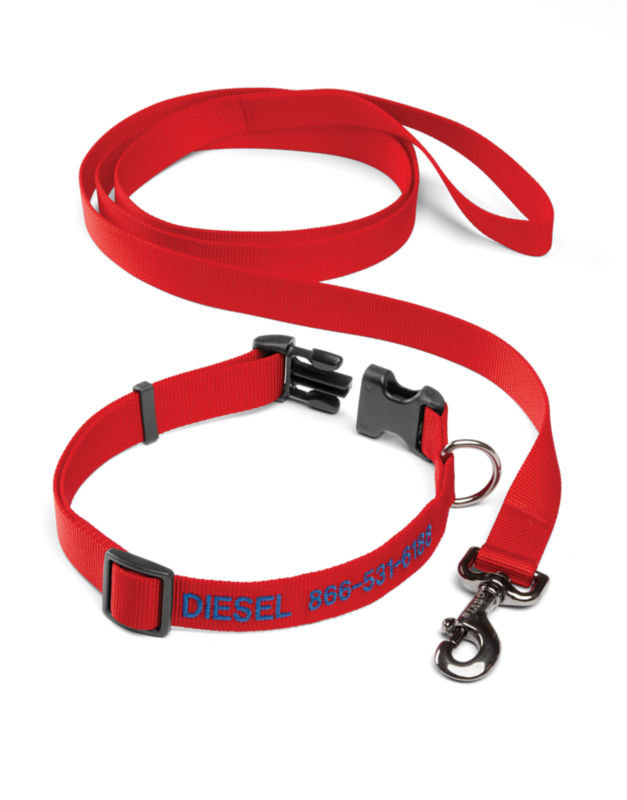 Personalized Adjustable Dog Collar with Leash Red 