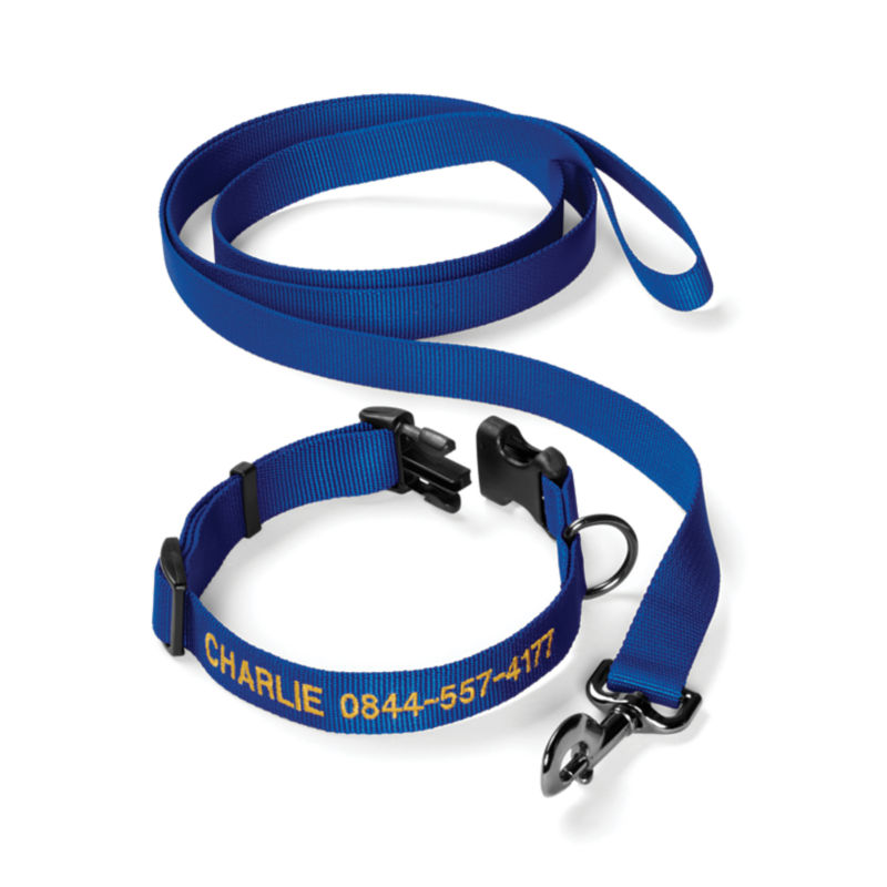 Personalized Adjustable Dog Collar with Leash Blue 