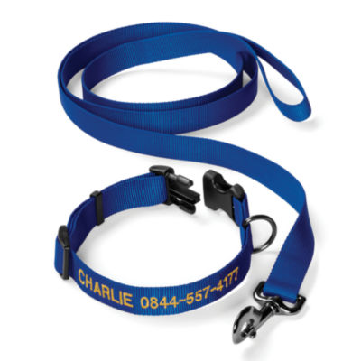 Personalized Adjustable Dog Collar with Leash Blue 