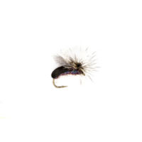 Welcome to the Millers River Fly Fishing Forum : The NEW