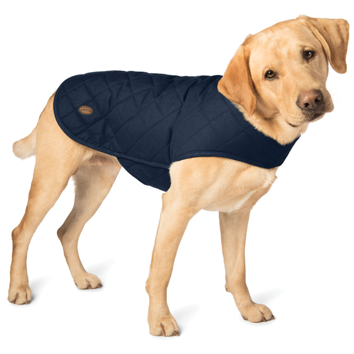 Quilted Waxed Cotton Dog Jacket